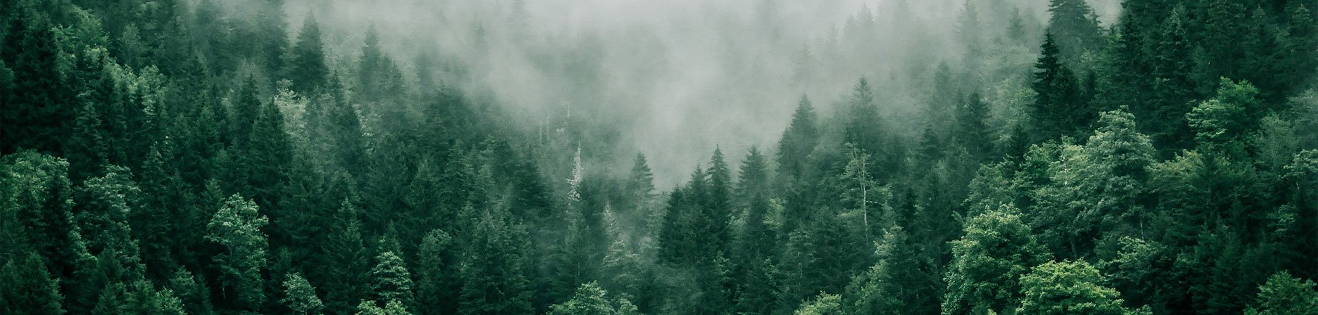 contact-banner