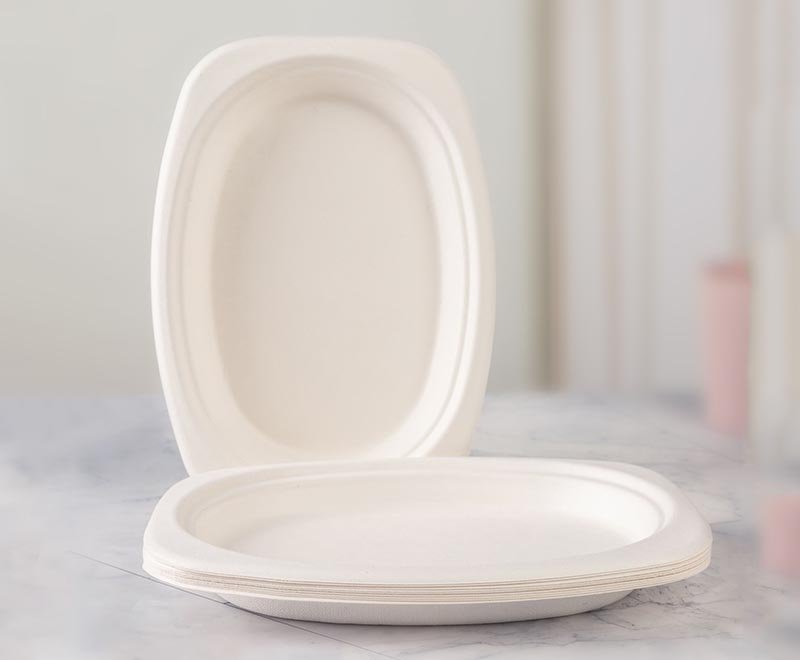 Biodegradable rectangle-sugarcane-platesRectangle Sugarcane Plates