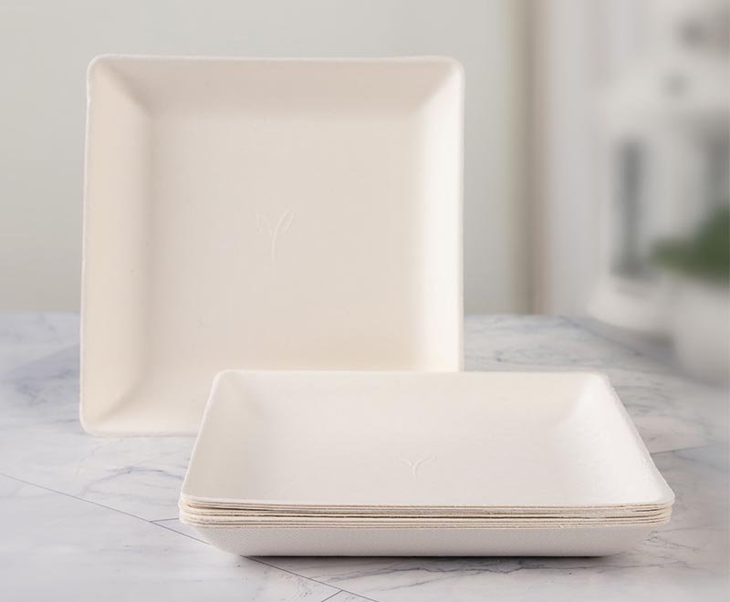 Square Sugarcane Plates