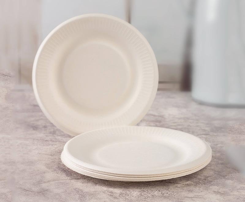 Sugarcane Plates